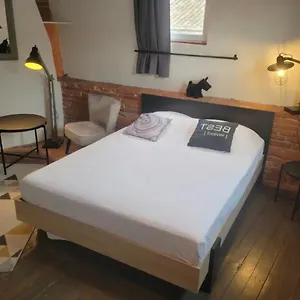 Appartement Le Colombier - A Deux Pas Du Square Charles De Gaulle, Toulouse